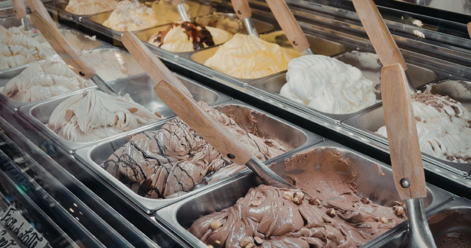 Family-Friendly Activities in Millbrae Everyone Will Love