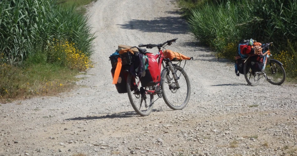 Millbrae Outdoors: Hiking, Biking, and Adventure Awaits