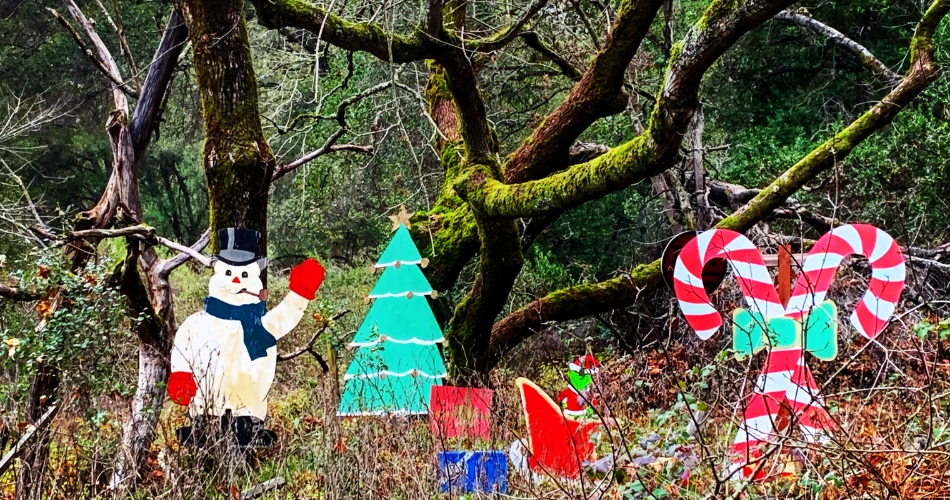 Millbrae Outdoors: Hiking, Biking, and Adventure Awaits